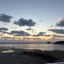 자니노니 마시안점 이미지