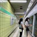 최희언 네이버블로그
