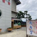 타짜 오리하우스 이미지