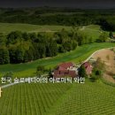 (주)투유코리아 이미지