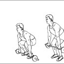 등운동의 꽃...데드리프트 이미지