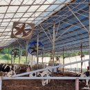 자연에축산 이미지