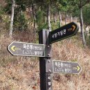 2025.04.18. 포항 사방기념공원 &amp; 묵은봉