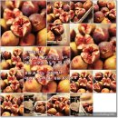 영배농장 이미지