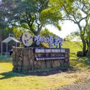 광해목장 이미지