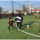 PEC스포츠아카데미 | 망포축구교실 아이들의 건강한 성장을 돕는 PEC스포츠아카데미 영통점 후기