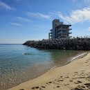 (12/21) 커피향 가득한 겨울바다 원정에 동아리님들 초대합니다 이미지