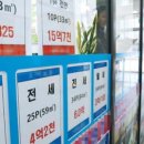 강원부동산 중개사무소 이미지