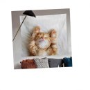 지엔스크린 이미지