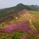 황매산장대 네이버블로그