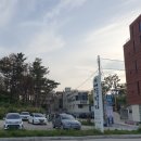 순긋 공중화장실 | 강릉 사근진해변 유채꽃밭 강원도 5월여행지 추천!