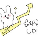 증평의류 이미지