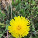 섬김농장 이미지