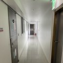 쏠레이빌리지 | 숙소후기 : 강릉 쏠레이빌리지 302호 후기
