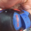 동진수선 이미지