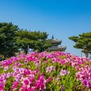 화서공원 이미지