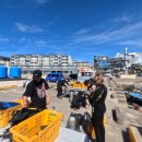 어드 | 내돈내산 제주 스쿠버다이빙 오픈+어드 후기 가격 기간