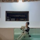 럭셔리노래연습장 | 경주 애견동반 독채 오루한옥스테이 초럭셔리 숙소 대만족 후기✨