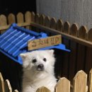 동희네집