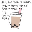 보바보바 브런치