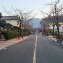 국제잔넬