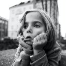 머꼬갈래 이미지