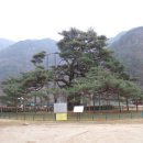 송*만