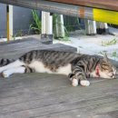 이마트24 무의중심점 이미지