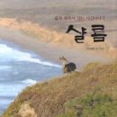 샬롬미디어