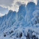 충남농원염소 이미지