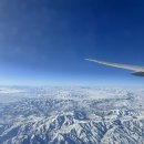 하늘빛으로 물든새 | 뉴캐슬 일기🇬🇧 (1)