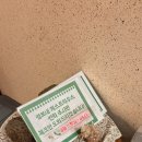 용마카서비스 | [제주/숙소] 제주공항 근처 '점보네게스트하우스' | 조용한 게하+혼자 여행+뚜벅이 숙소 추천