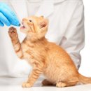 유림약국 이미지