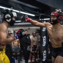 스테이소요 이미지