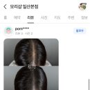 모리샵 이미지