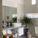 스테이시호일 이미지