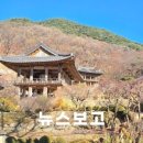 영주전통한우 이미지