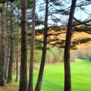 용평리조트골프클럽(회원제) 이미지