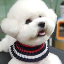 THE 폼나개 네이버블로그