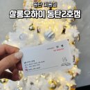 난영미용실 | 동탄미용실 살롱오하이 난영쌤 애쉬 브라운 후기