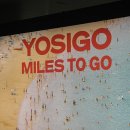 헬시트레이드 상상시장점 | [탐방일지] 요시고 사진전2 MILES TO GO / 서울실내데이트 추천 / 겨울 전시회 내돈내산 후기