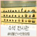 치유의숲 | [성불산자연휴양림] 수석전시관