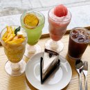 할리스커피인천서구청점 | 할리스커피 바닐라딜라이트케이크 제주청귤그린티 복숭아스무디 애플망고치즈케이크빙수 내돈내산후기