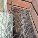 비둘기미용실 이미지