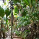 낙원씨앗 티스토리