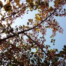 인후공원(배수지) 이미지