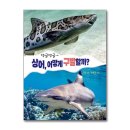 댕글댕글 이미지