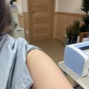 보스톤연합치과의원 네이버블로그
