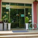 남연허브 이미지