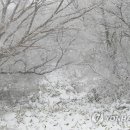 한라산모텔 이미지